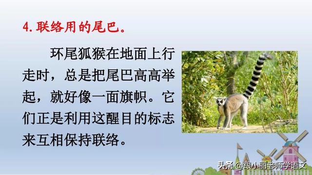 统编版一年级语文上册第6课《比尾巴》知识点+图文解读