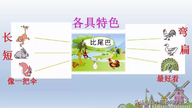 统编版一年级语文上册第6课《比尾巴》知识点+图文解读