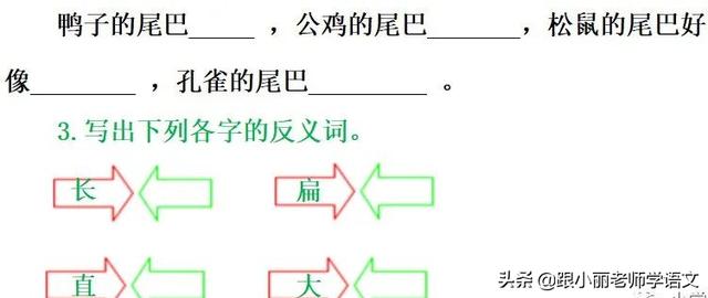 统编版一年级语文上册第6课《比尾巴》知识点+图文解读