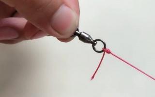 破解子线缠绕、打结的秘密，原来自己用错了，简单3点节约子线