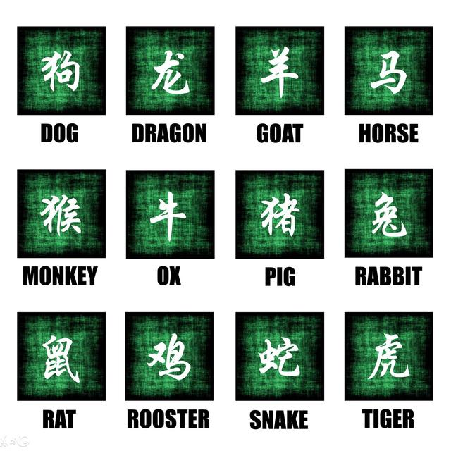 分析生辰看配偶属相