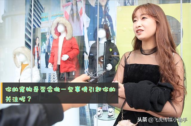 「今晚19点50分」宠宠大不同节目预告