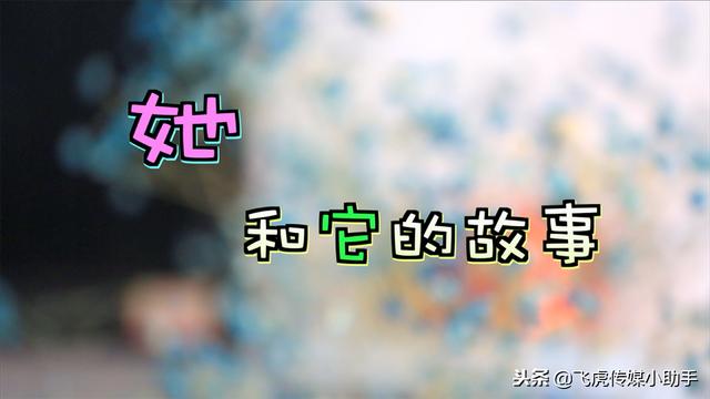 「今晚19点50分」宠宠大不同节目预告