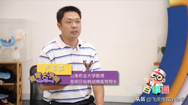 「今晚19点50分」宠宠大不同节目预告