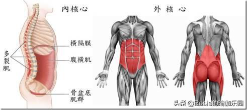 为什么做瑜伽体式头部后仰会恶心难受？为什么髋关节会响？