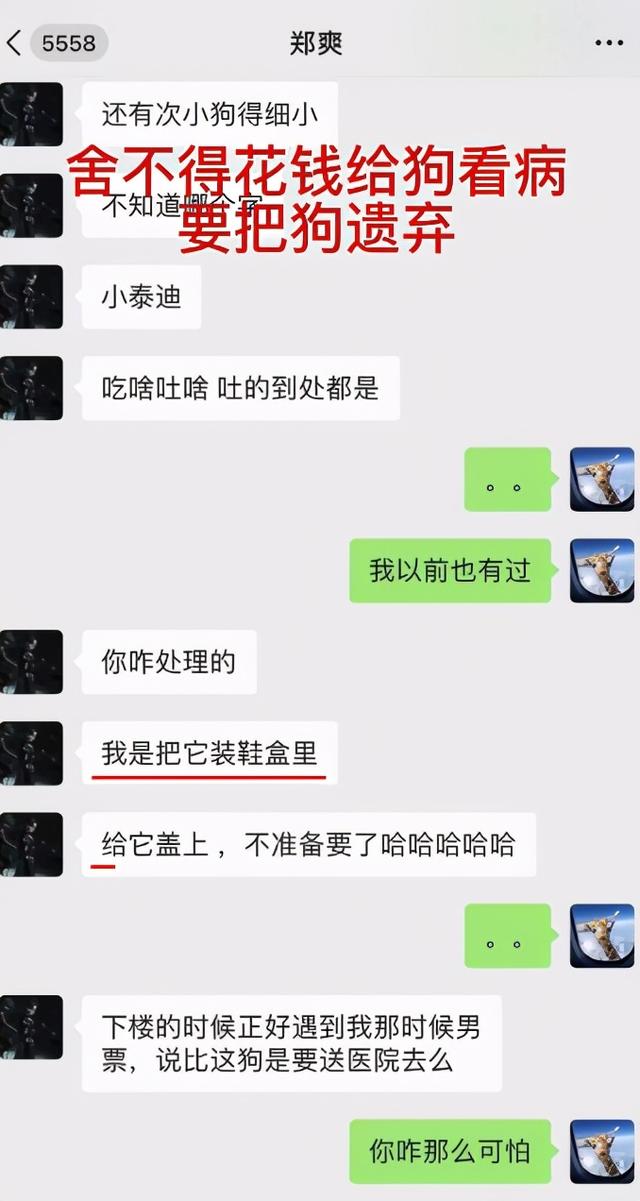 贪心的劣迹艺人，阴险的心机男友，张恒和郑爽还真是绝配