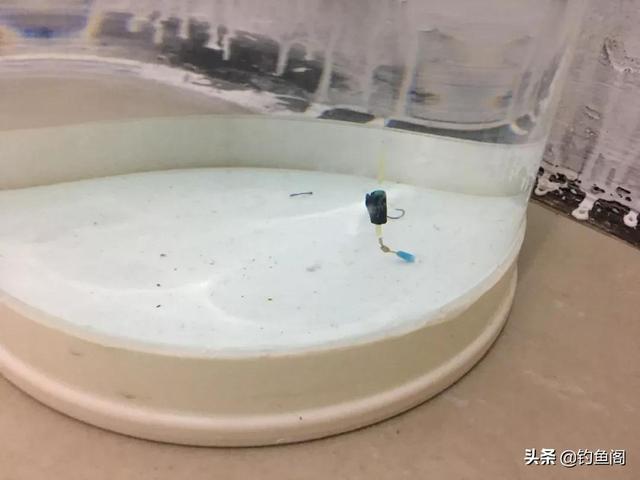 化氏小惠盘老头的“小跑铅钓法”，在野钓中使用要注意这几点