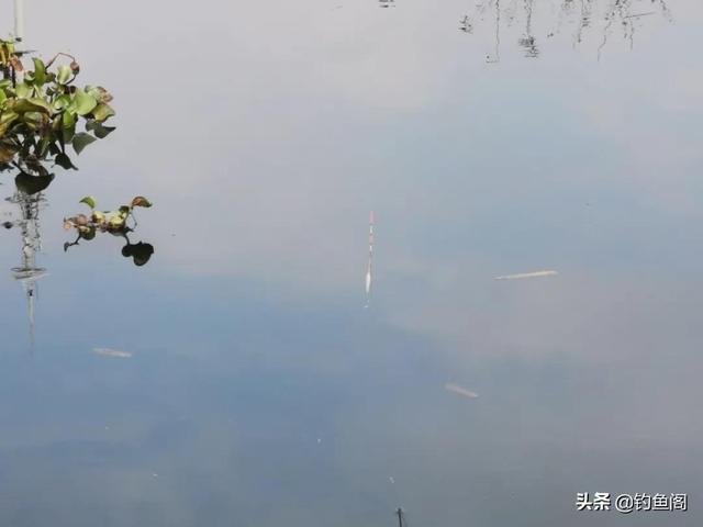 化氏小惠盘老头的“小跑铅钓法”，在野钓中使用要注意这几点