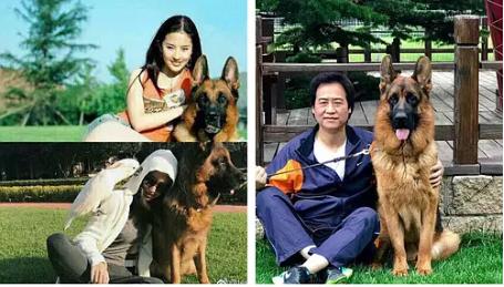 刘亦菲和教父陈金飞之28年江湖往事