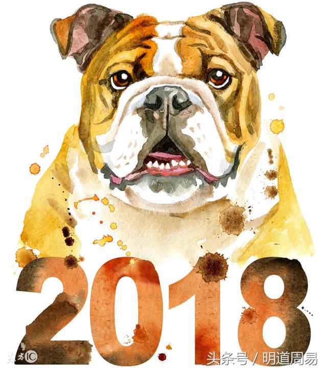看看2018戊戌狗年你是好运or失运？