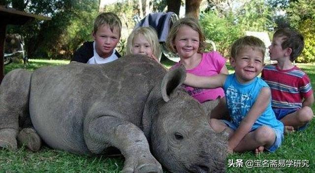 如何判断一个名字好不好？
