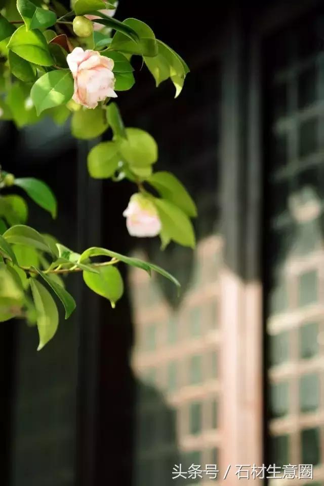 窗棂之美︱中国传统建筑上的精灵
