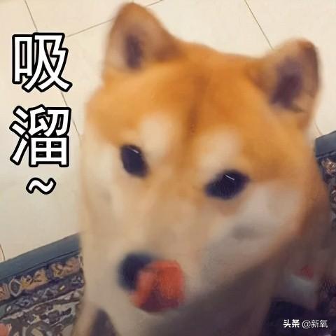 宋慧乔最新烟熏妆造型，姐姐好飒