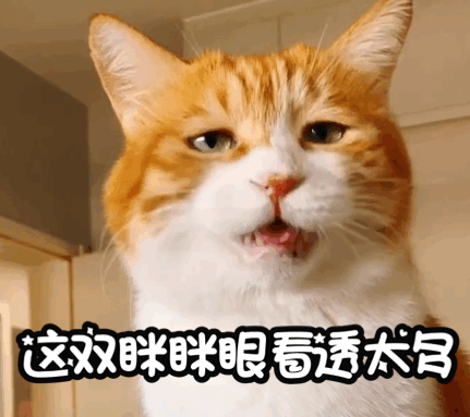 宋慧乔最新烟熏妆造型，姐姐好飒