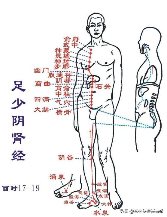 子午流注——酉时，遵循天地自然规律，为自己的身心健康保驾护航
