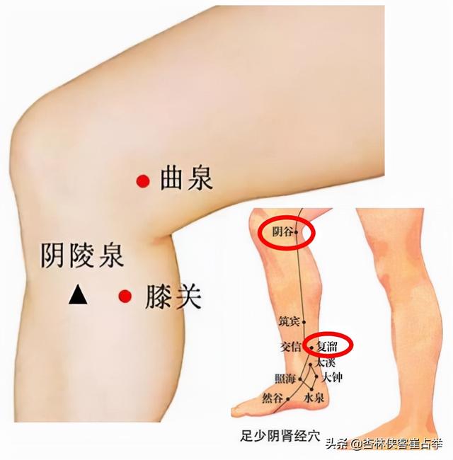 子午流注——酉时，遵循天地自然规律，为自己的身心健康保驾护航