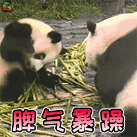 奇葩舍友乱翻我化妆品，还拿A货偷换了我的真包……