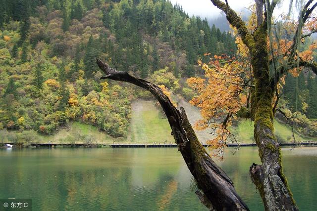 生辰中子平正官歌诀白话解读