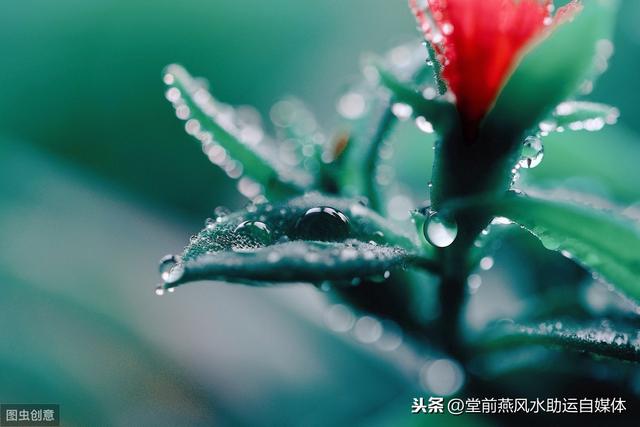堂前燕命理：批一个生辰的基本步骤