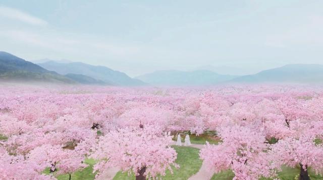 “桃花运”是如何而来的？你真的了解桃花运吗？