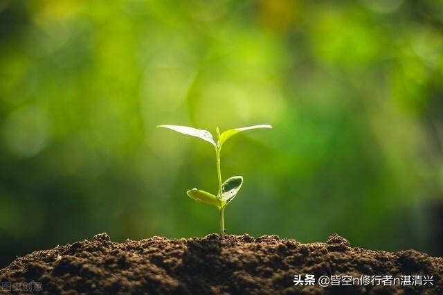 命运，写给所有的人