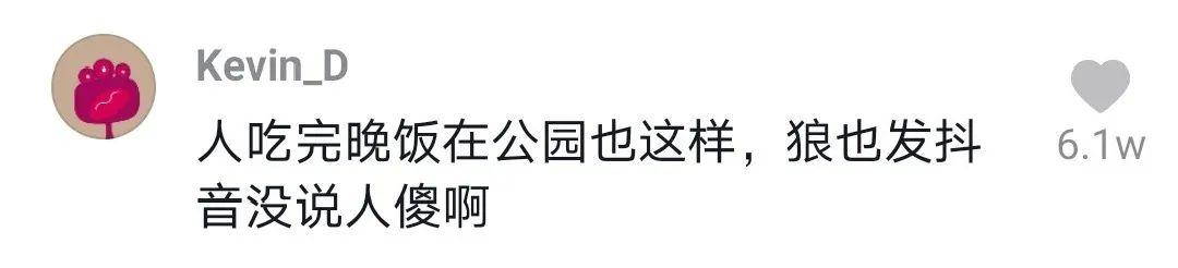 阜阳“网红狼”，又开始了！园方正式回应
