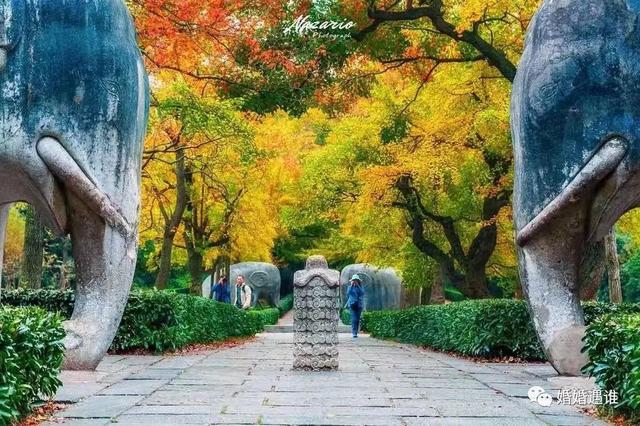 成功人士的老婆不漂亮，你就有机会？