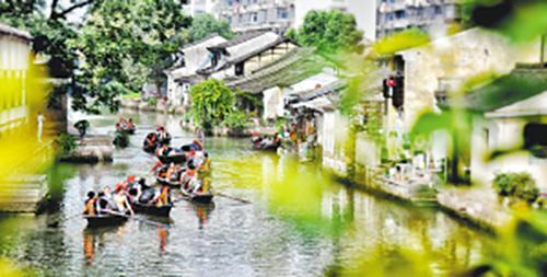 绍兴：老台门能否打造“越文化民宿群”？