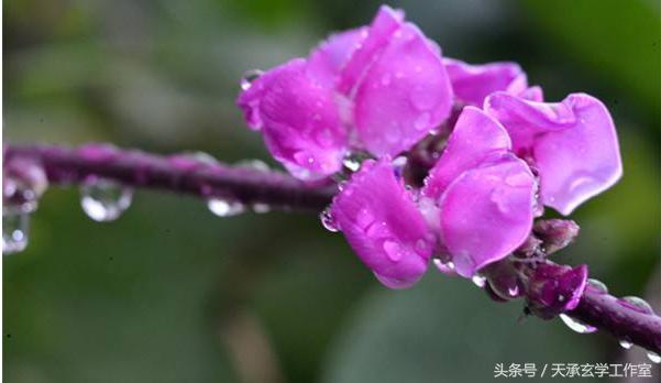 实战：八字调候用神如何看人生事业和家庭