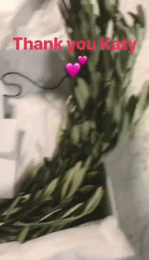 霉霉跟水果姐都和好了，姐妹之间的感情真的大过天啊