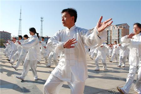武式太极拳的打手八字要领