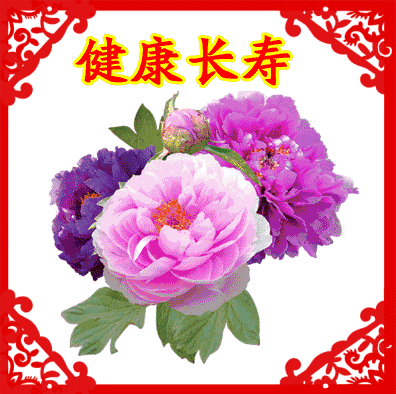 2018最新，春节祝福语！新年到，祝福短信不能少！