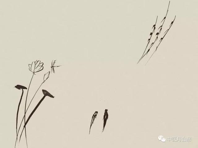 当中医师遇上命理师，真正的@￥先生和我们想的不太一样