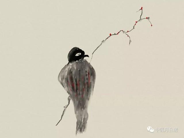 当中医师遇上命理师，真正的@￥先生和我们想的不太一样