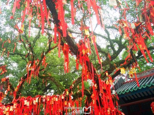 求取姻缘好运签，月老在线点名，爱情如愿，虔诚则灵超准