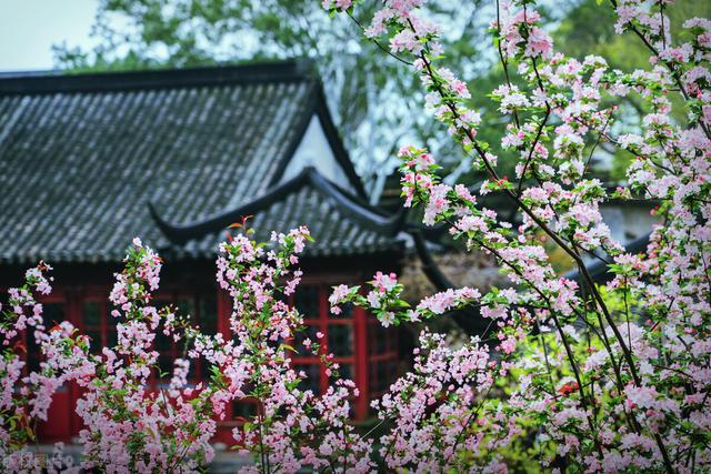 三年级语文下册《日积月累》整理及注解，孩子复习起来也方便
