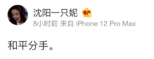 手撕王思聪8天后，孙一宁突然道歉：她的手段，太可怕了