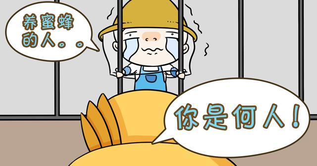 出生日期相同的两个人，人生命运会一样吗？
