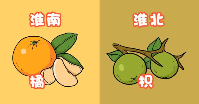 出生日期相同的两个人，人生命运会一样吗？