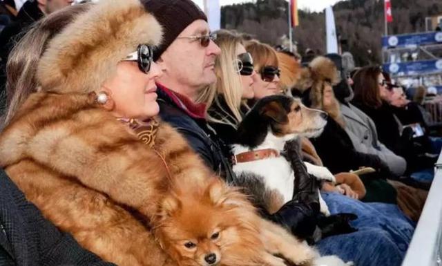 为了女儿进豪门她拼了!改八字、迁祖坟、棒打鸳鸯、找秘方生儿子