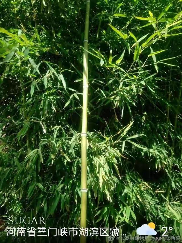 楼外斜月推荐：茶余饭后必读的50本书（三）
