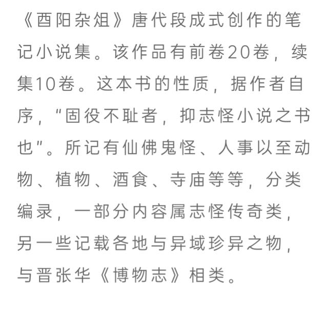 楼外斜月推荐：茶余饭后必读的50本书（三）