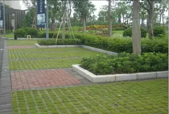植草砖：城市的绿化者