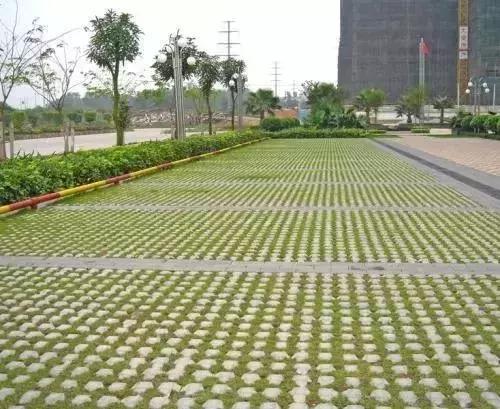 植草砖：城市的绿化者