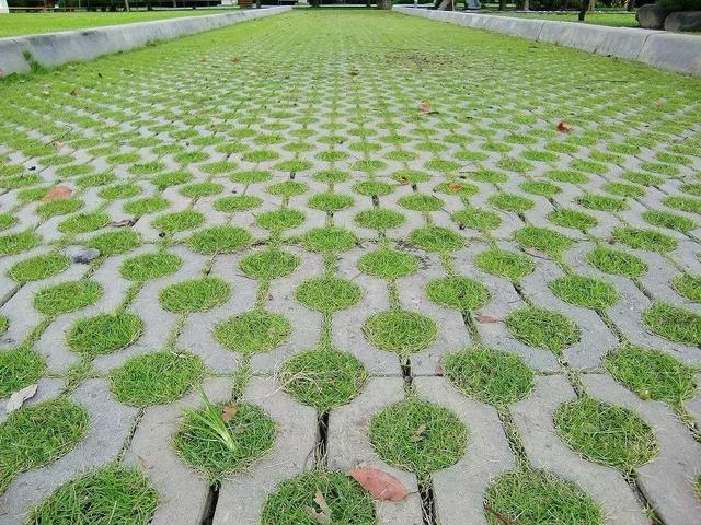 植草砖：城市的绿化者