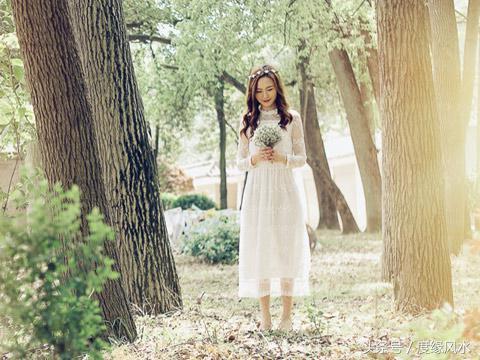 从生辰八字命理分析你的事业