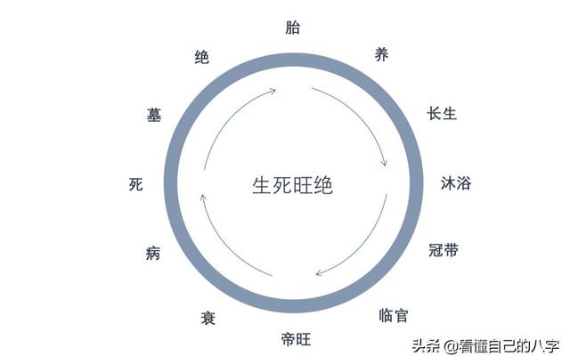 看懂自己的八字：天干地支的相互关系，生死旺绝表