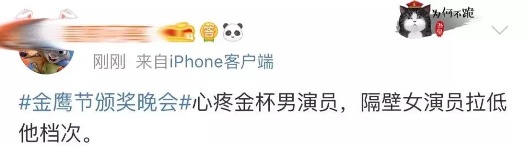 迪丽热巴摘视后，评的是金鹰还是水鸟？