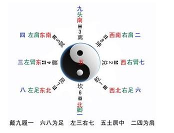 手的秘密——掌心的八卦图