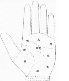 手的秘密——掌心的八卦图